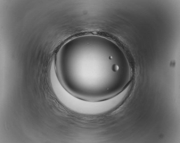 X0000113621257200909251158