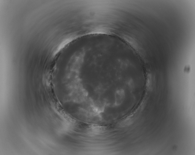 X0000113621258200909251158