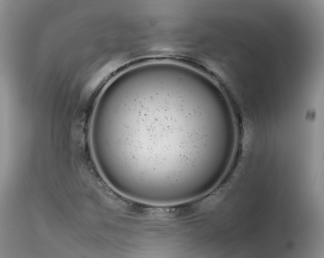 X0000113621259200909251158