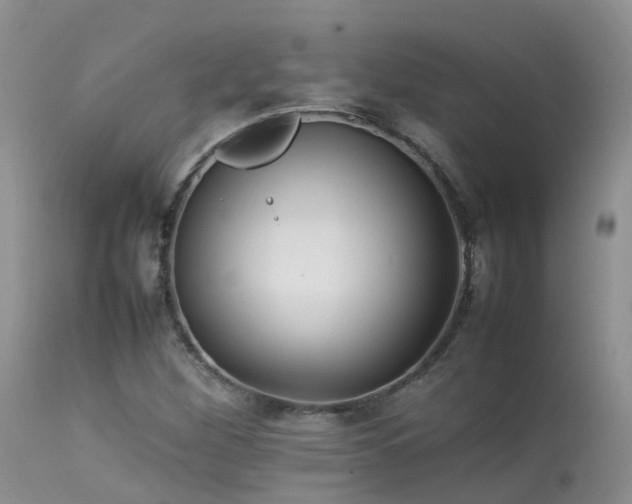 X0000113621260200909251158