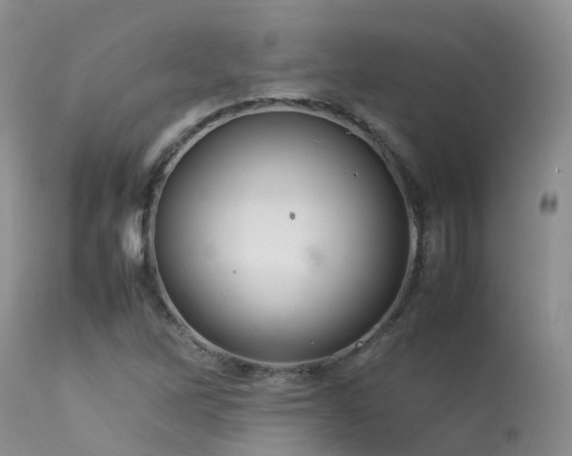 X0000113621262200909251158