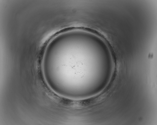 X0000113621263200909251158