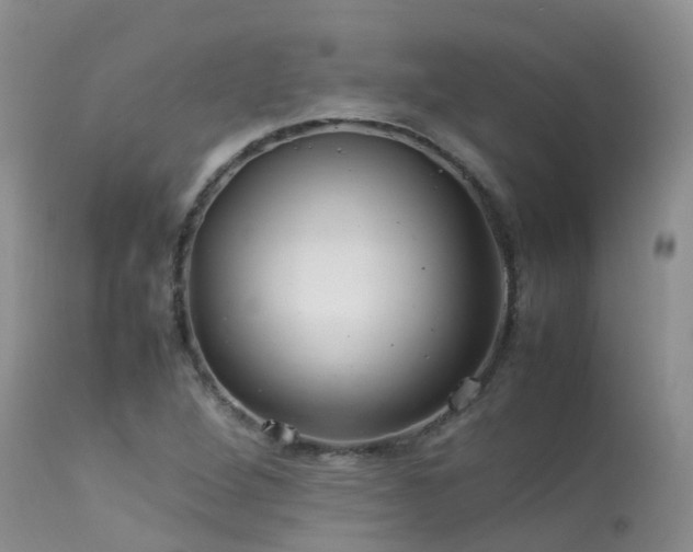 X0000113621264200909251158