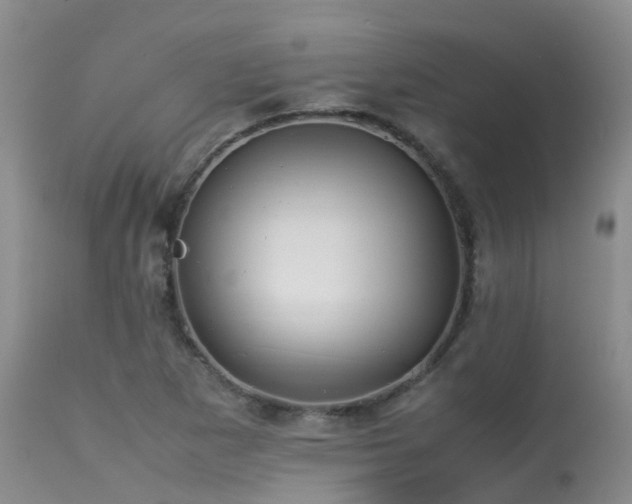 X0000113621265200909251158