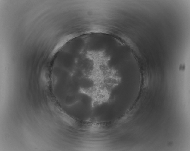 X0000113621266200909251158