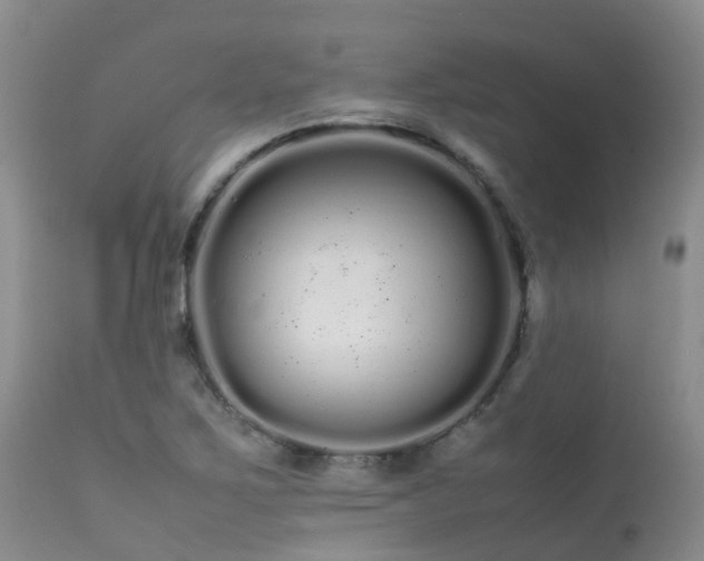 X0000113621267200909251158