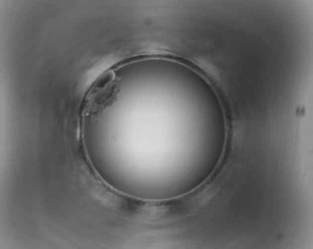 X0000113621269200909251158