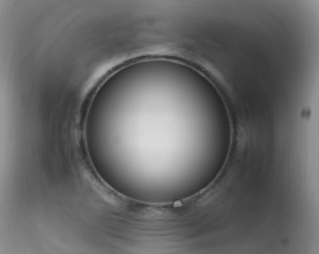 X0000113621270200909251158