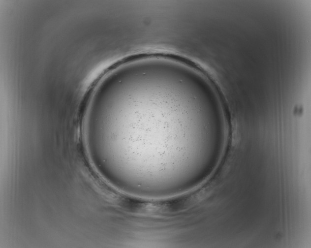 X0000113621271200909251158