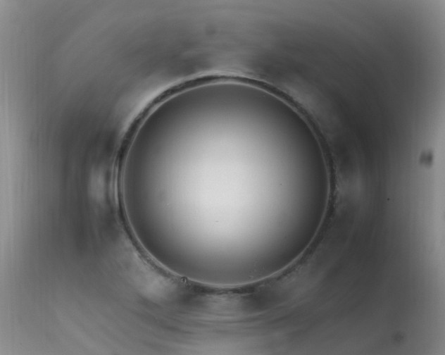 X0000113621272200909251158