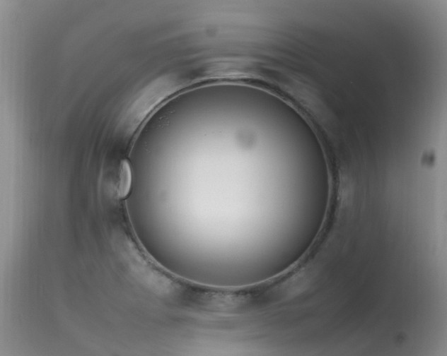 X0000113621273200909251158