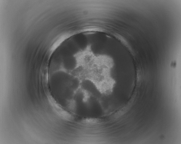 X0000113621274200909251157