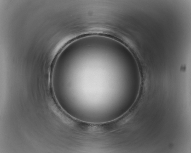 X0000113621275200909251157