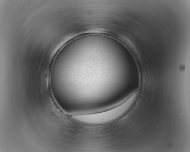 X0000113621276200909251157