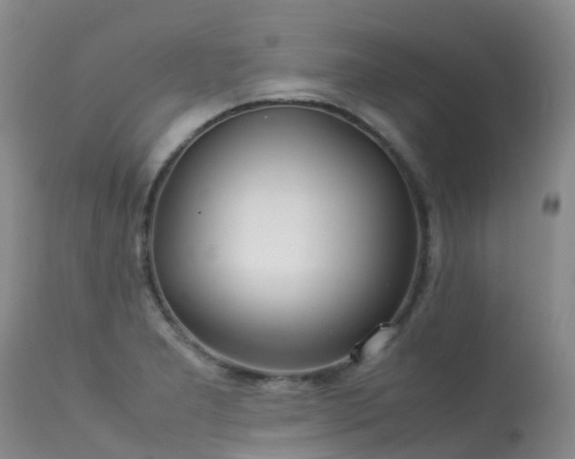 X0000113621277200909251157