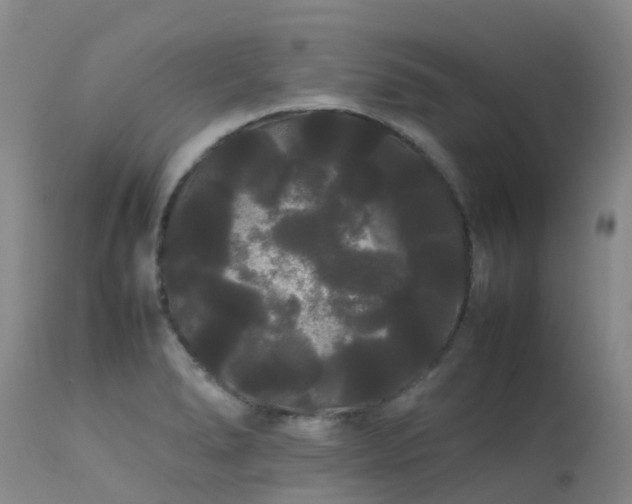 X0000113621278200909251157