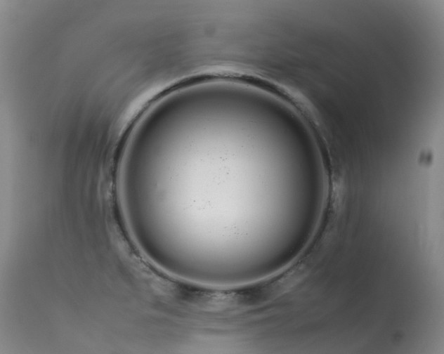 X0000113621279200909251157