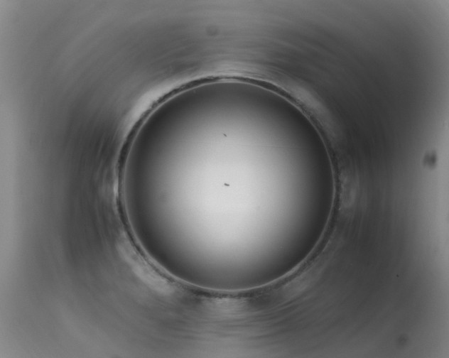 X0000113621280200909251157