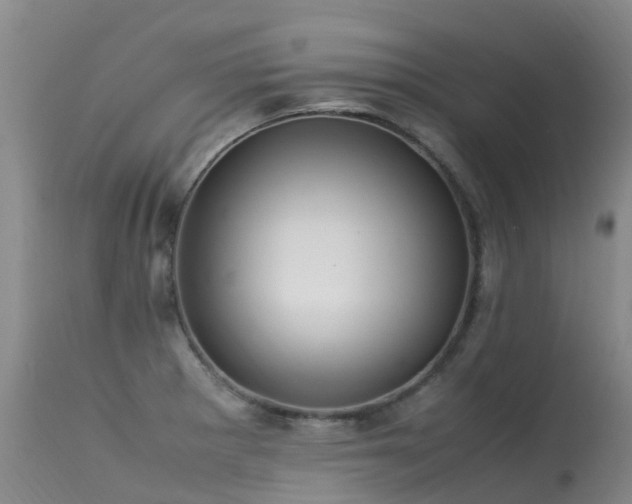 X0000113621281200909251157