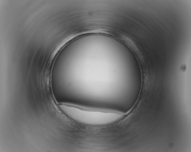 X0000113621284200909251157