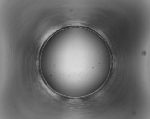 X0000113621285200909251157