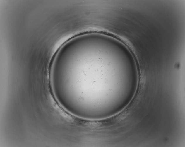 X0000113621287200909251157