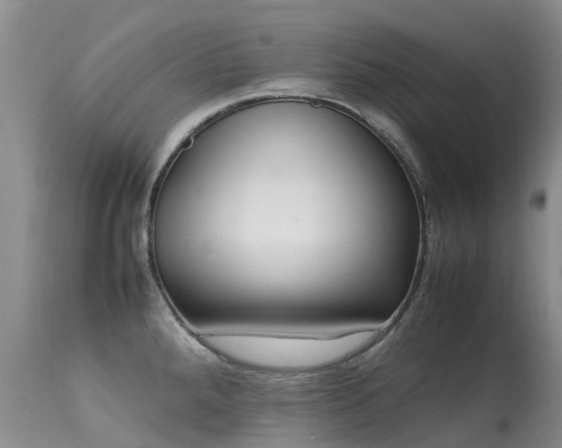 X0000113621288200909251157