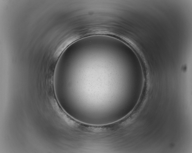 X0000113621289200909251157