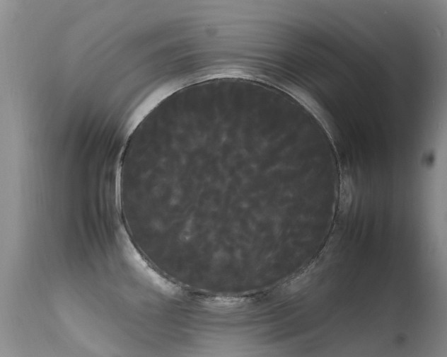 X0000113621290200909251157