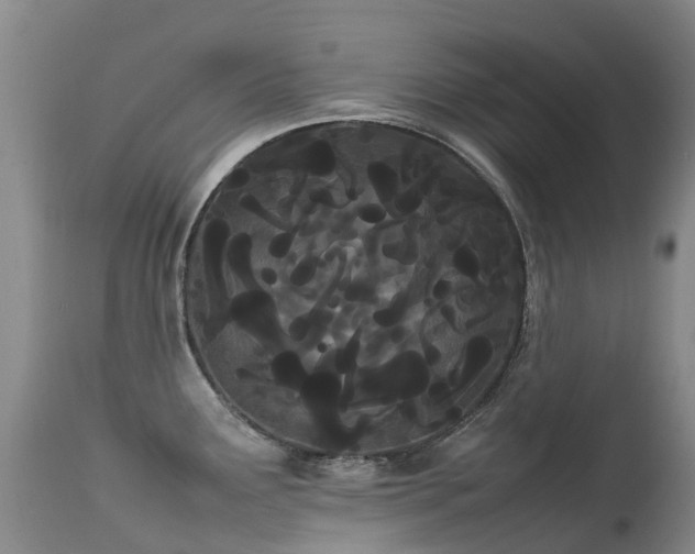 X0000113621291200909251157