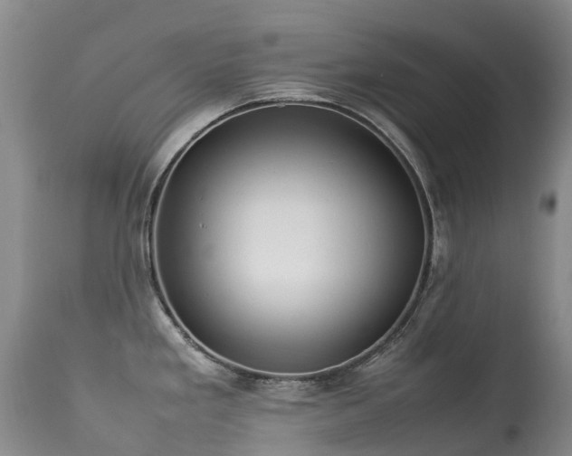 X0000113621293200909251157