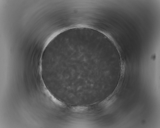 X0000113621294200909251157