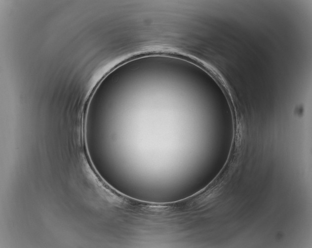 X0000113621295200909251157