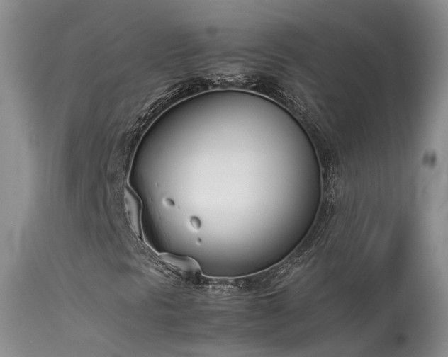 X0000113621297200909251157