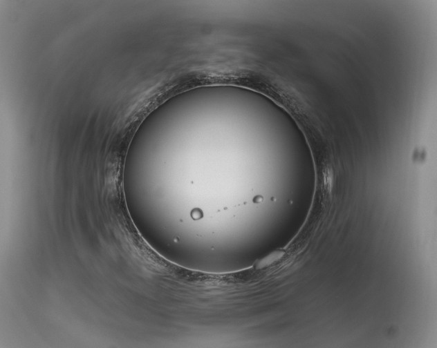 X0000113621300200909251157