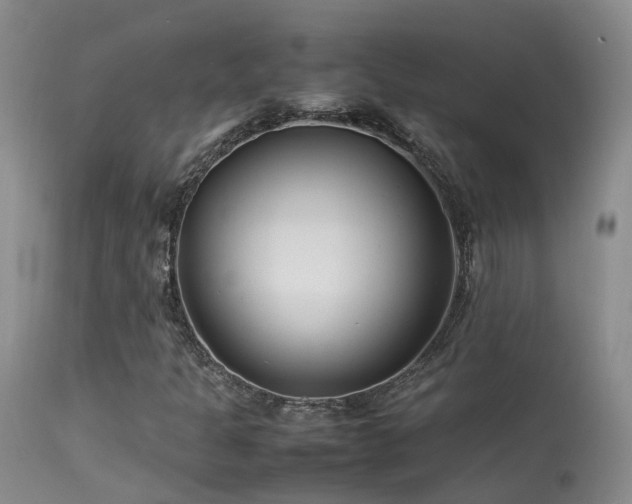 X0000113621301200909251157