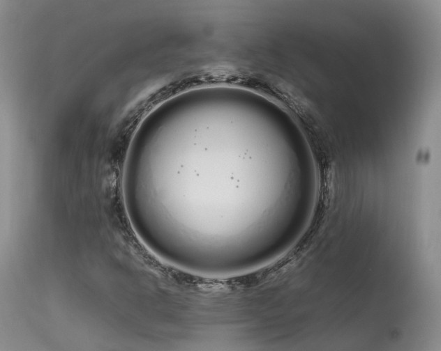 X0000113621302200909251157