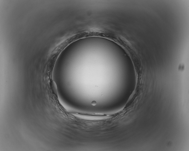 X0000113621303200909251157