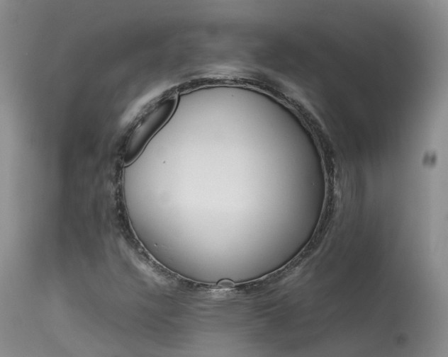 X0000113621304200909251157