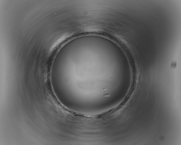 X0000113621306200909251157