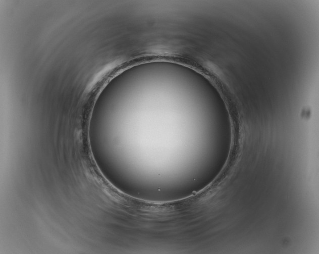 X0000113621307200909251157