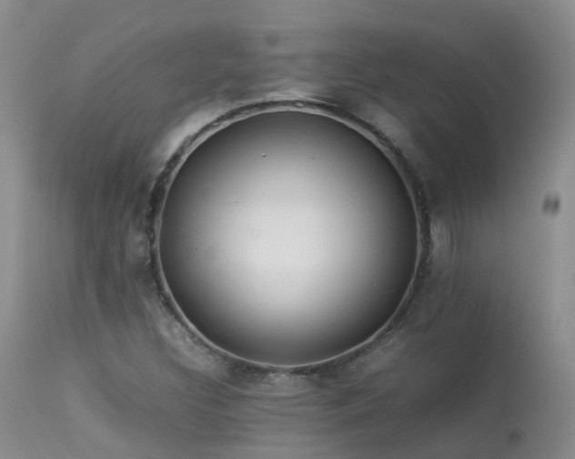 X0000113621308200909251157