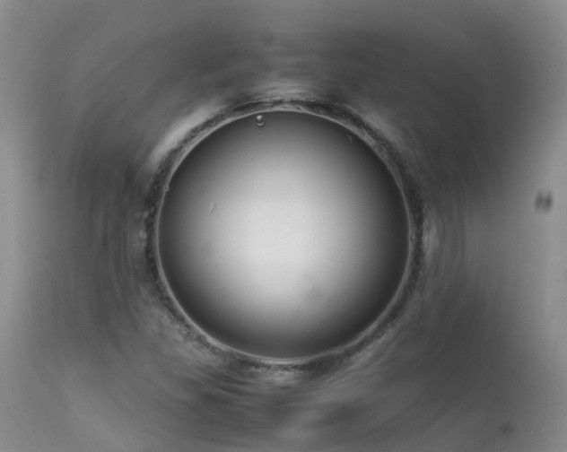 X0000113621309200909251157