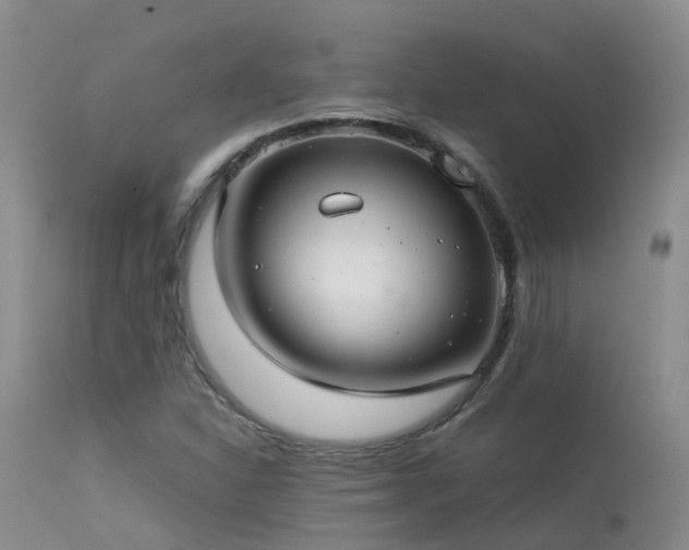 X0000113621310200909251157