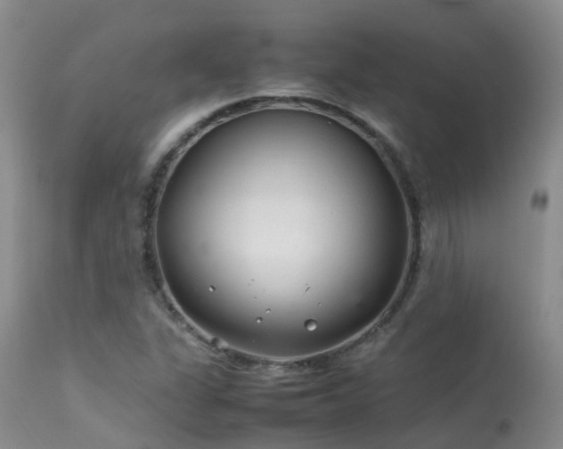 X0000113621311200909251157