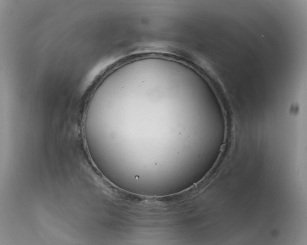 X0000113621312200909251157