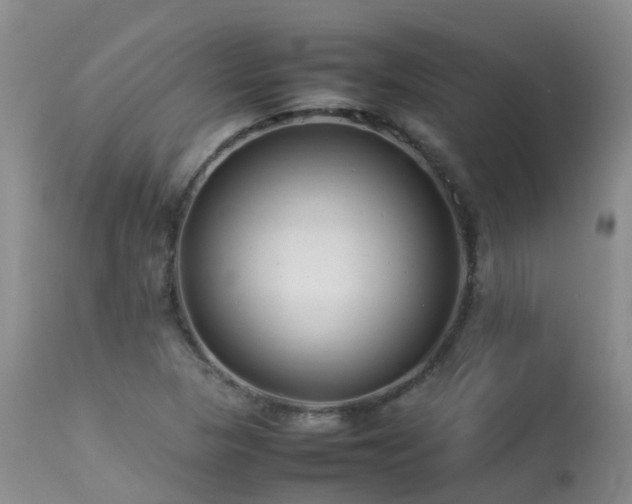 X0000113621313200909251157