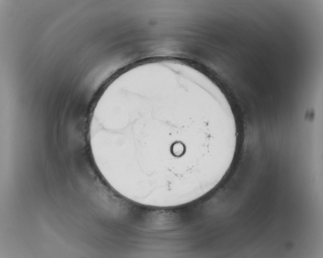 X0000113621314200909251157