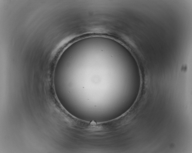 X0000113621315200909251157