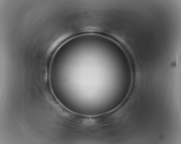 X0000113621317200909251157